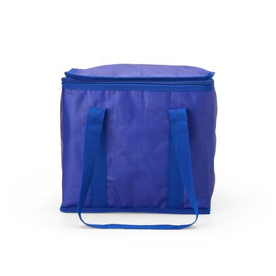Conheça o Brinde Bolsa térmica polietileno com capacidade de 12 Litros X02697